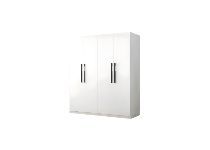 MOL100 (2)